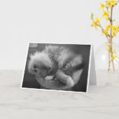 低速日、カード カード (黄色い花)