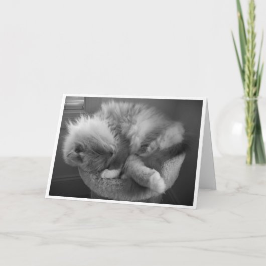 低速日、カード カード (正面)