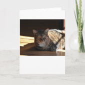 低速日、カード カード (正面)