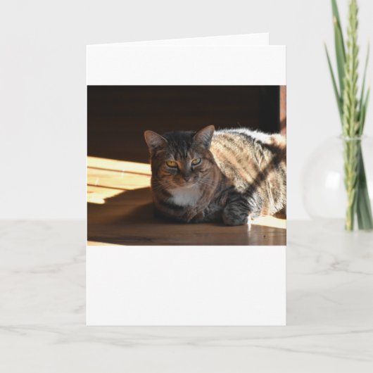 低速日、カード カード (正面)