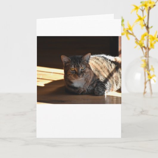 低速日、カード カード (黄色い花)