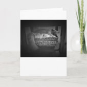 低速日、カード カード (正面)