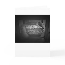 低速日、カード