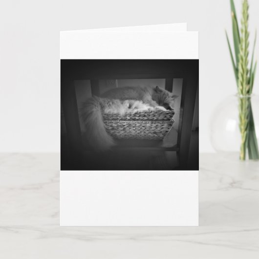 低速日、カード カード (正面)