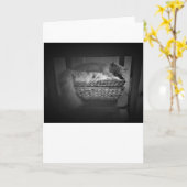 低速日、カード カード (黄色い花)