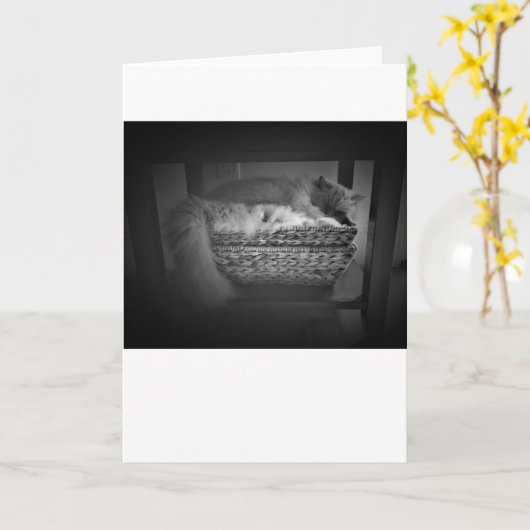 低速日、カード カード (黄色い花)