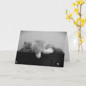 低速日、カード カード (黄色い花)