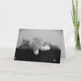 低速日、カード カード