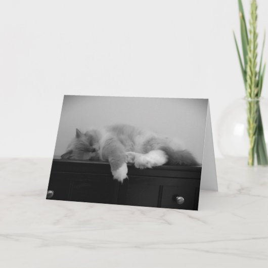 低速日、カード カード (正面)