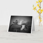 低速日、カード カード (黄色い花)