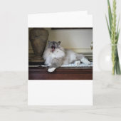 低速日、カード カード (正面)