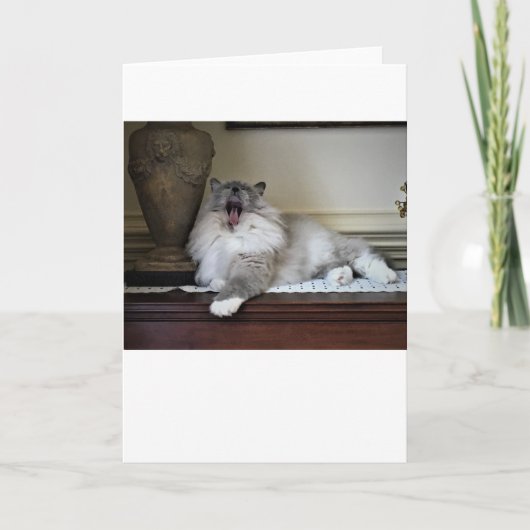 低速日、カード カード (正面)