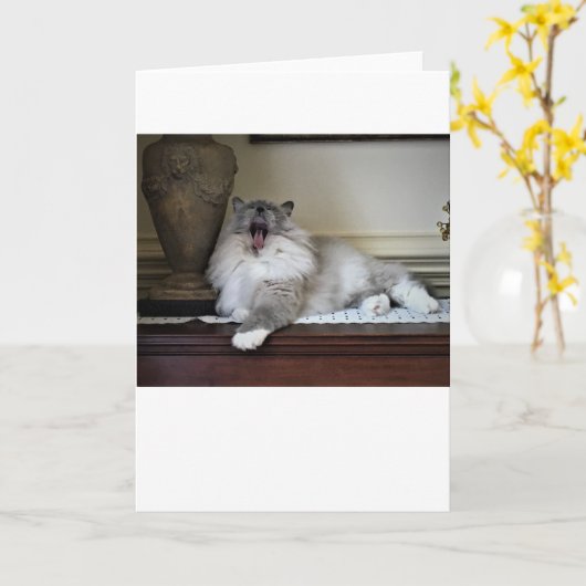 低速日、カード カード (黄色い花)