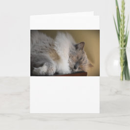 低速日、カード カード