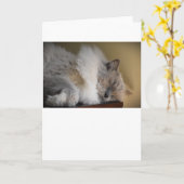 低速日、カード カード (黄色い花)