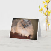 低速日、カード カード (黄色い花)