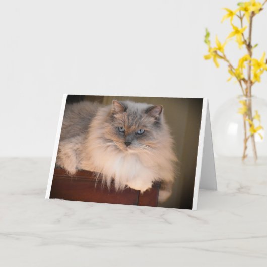 低速日、カード カード (黄色い花)