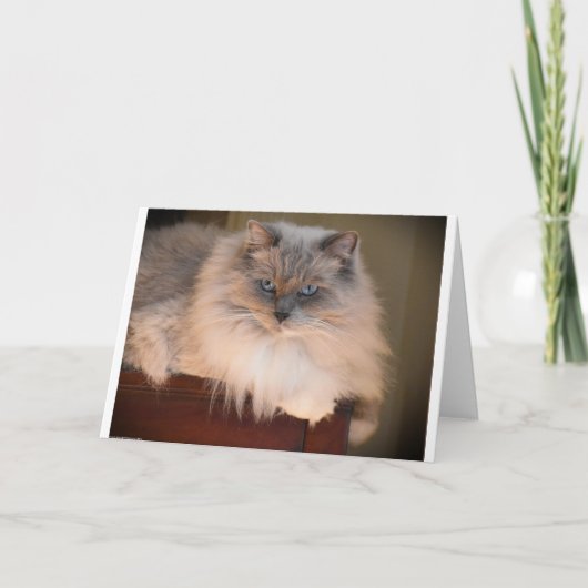 低速日、カード カード (正面)