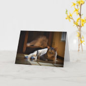 低速日、カード カード (黄色い花)