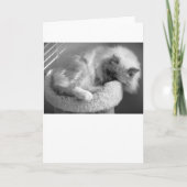 低速日、カード カード (正面)