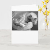 低速日、カード カード (黄色い花)