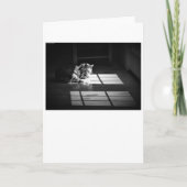 低速日、カード カード (正面)