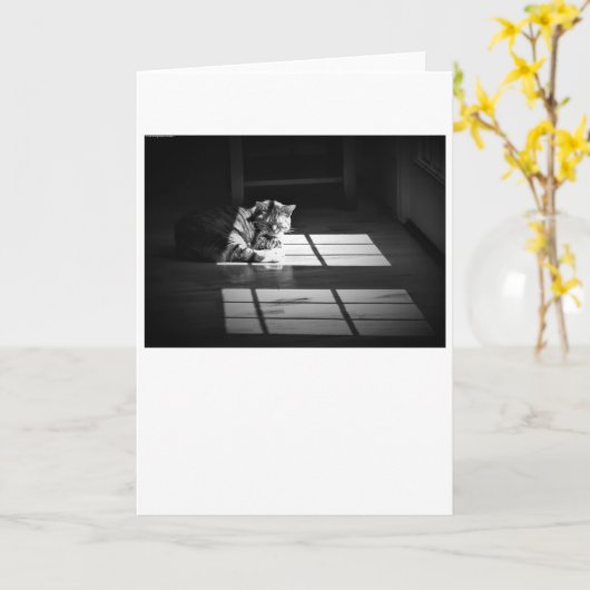 低速日、カード カード (黄色い花)