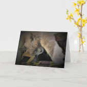 低速日、カード カード (黄色い花)