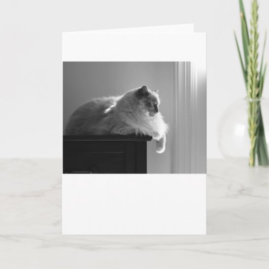 低速日、カード カード (正面)