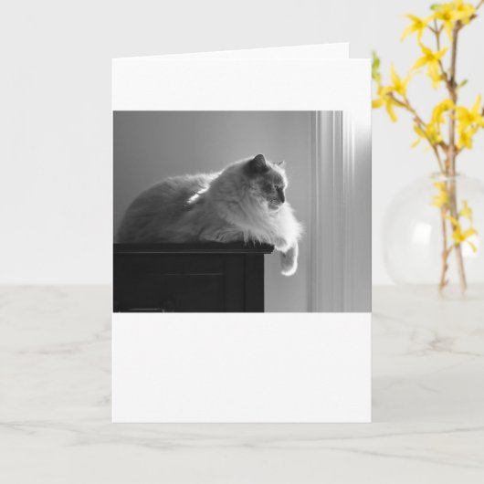 低速日、カード カード (黄色い花)