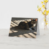 低速日、カード カード (黄色い花)