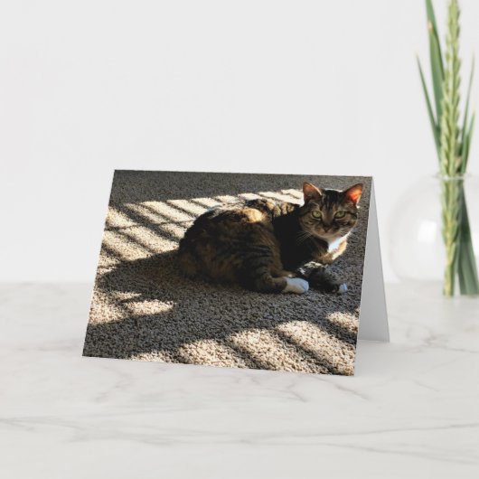 低速日、カード カード (正面)