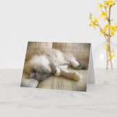 低速日、カード カード (黄色い花)