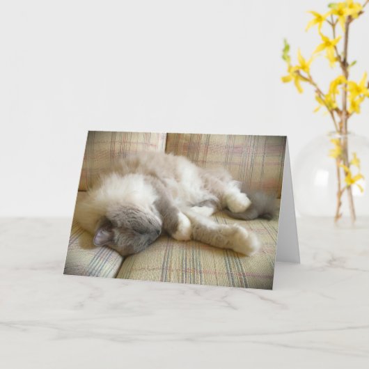 低速日、カード カード (黄色い花)