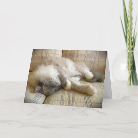 低速日、カード カード (正面)