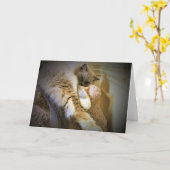 低速日、カード カード (黄色い花)