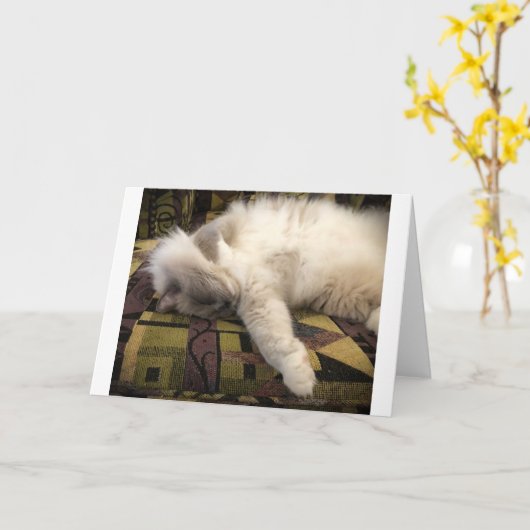 低速日、カード カード (黄色い花)