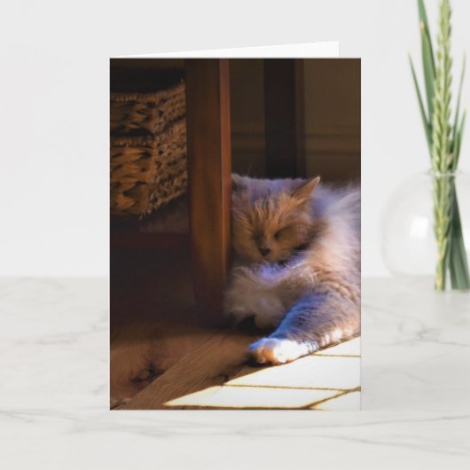 低速日、カード カード (正面)