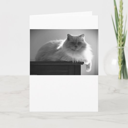 低速日、カード カード (正面)