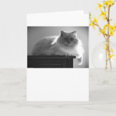 低速日、カード カード (黄色い花)