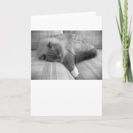 低速日、カード カード (正面)