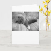 低速日、カード カード (黄色い花)