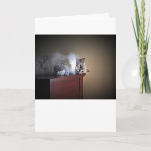 低速日、カード カード (正面)