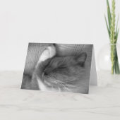 低速日、カード カード (正面)