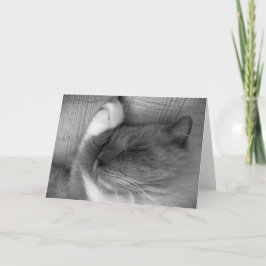 低速日、カード カード