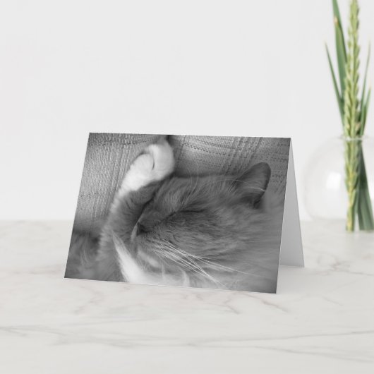 低速日、カード カード (正面)