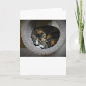 低速日、カード カード (正面)