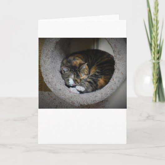 低速日、カード カード (正面)