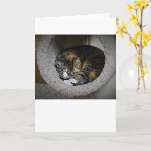 低速日、カード カード (黄色い花)