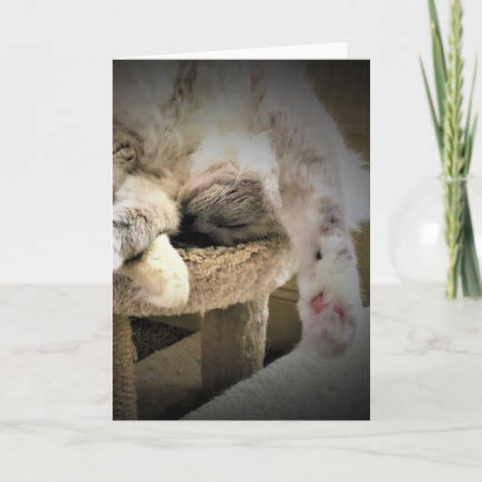 低速日、カード カード (正面)